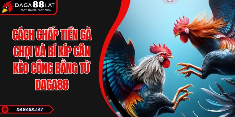 Cách chấp tiền gà chọi