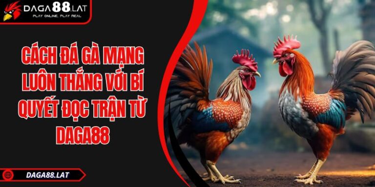 Cách đá gà mạng luôn thắng