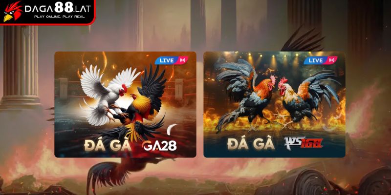 Chọn sảnh ổn định