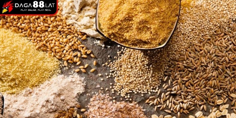 Cách Nuôi Gà Đá Chân Mạnh Và Bí Quyết Tăng Lực Từ DAGA88 2 Bổ sung khoáng trong cách nuôi gà đá chân mạnh