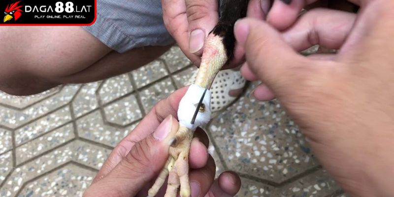 Cách gắn chuẩn kỹ thuật