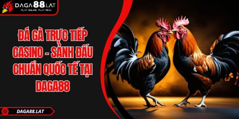 Đá Gà Trực Tiếp Casino - Sảnh Đấu Chuẩn Quốc Tế Tại DAGA88 10 Đá gà trực tiếp casino