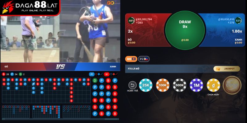 Quy trình tham gia đá gà trực tiếp casino