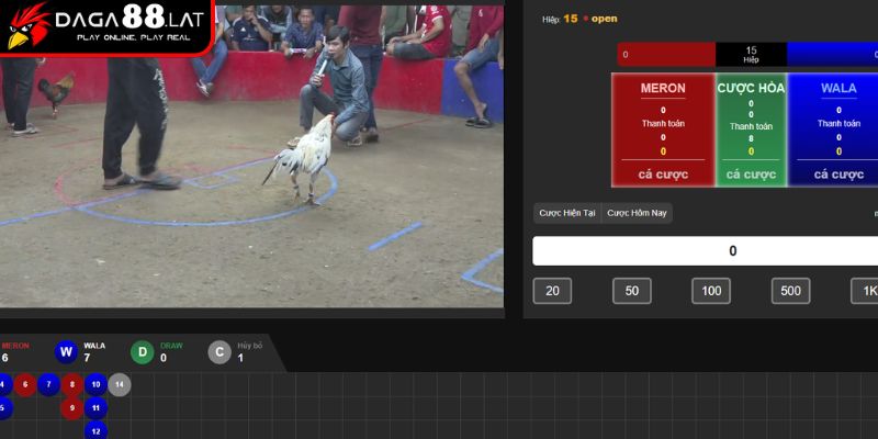 Đá Gà Trực Tiếp Thomo 24/7 Hoạt Động Ngày Đêm Tại DAGA88 3 Giá trị và sức hút của đá gà trực tiếp Thomo 24/7 hiện nay