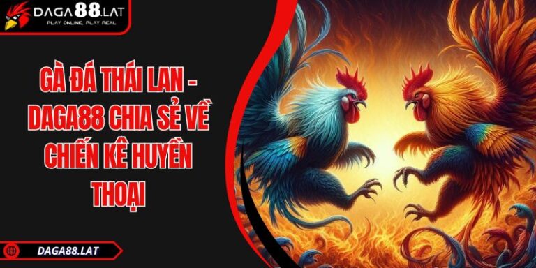 Gà Đá Thái Lan - DAGA88 Chia Sẻ Về Chiến Kê Huyền Thoại 2 Gà đá Thái Lan