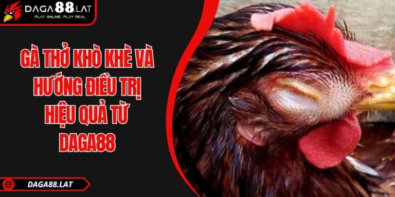 Gà Thở Khò Khè Và Hướng Điều Trị Hiệu Quả Từ DAGA88 7 Gà thở khò khè
