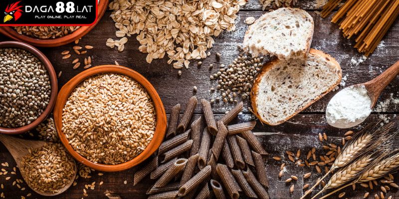 Gà Thở Khò Khè Và Hướng Điều Trị Hiệu Quả Từ DAGA88 3 Chăm sóc dinh dưỡng cho gà thở khò khè