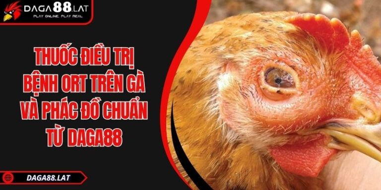 Thuốc Điều Trị Bệnh ORT Trên Gà Và Phác Đồ Chuẩn Từ DAGA88 9 Thuốc điều trị bệnh ORT trên gà