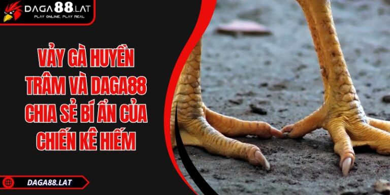 Vảy Gà Huyền Trâm Và DAGA88 Chia Sẻ Bí Ẩn Của Chiến Kê Hiếm 4 Vảy gà huyền trâm