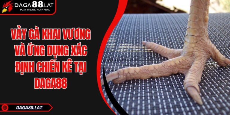 Vảy Gà Khai Vương Và Ứng Dụng Xác Định Chiến Kê Tại DAGA88 6 Vảy gà khai vương
