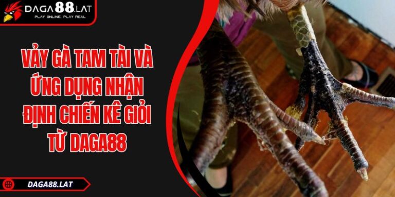Vảy Gà Tam Tài Và Ứng Dụng Nhận Định Chiến Kê Giỏi Từ DAGA88 5 Vảy gà tam tài