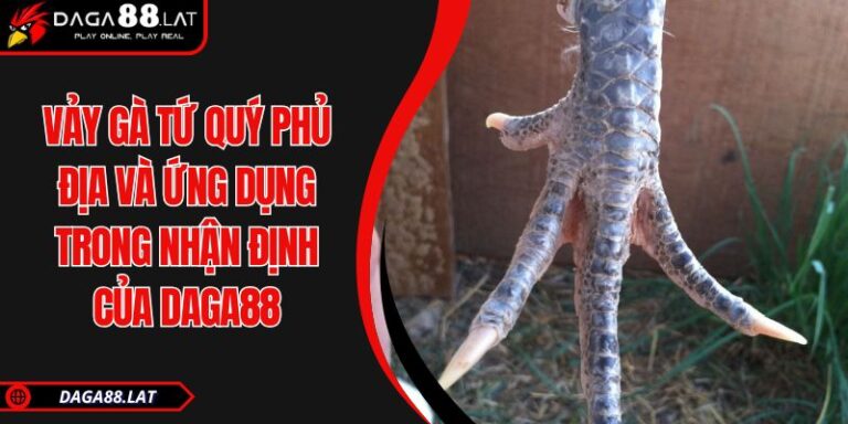 Vảy Gà Tứ Quý Phủ Địa Và Ứng Dụng Trong Nhận Định Của DAGA88 3 Vảy gà tứ quý phủ địa